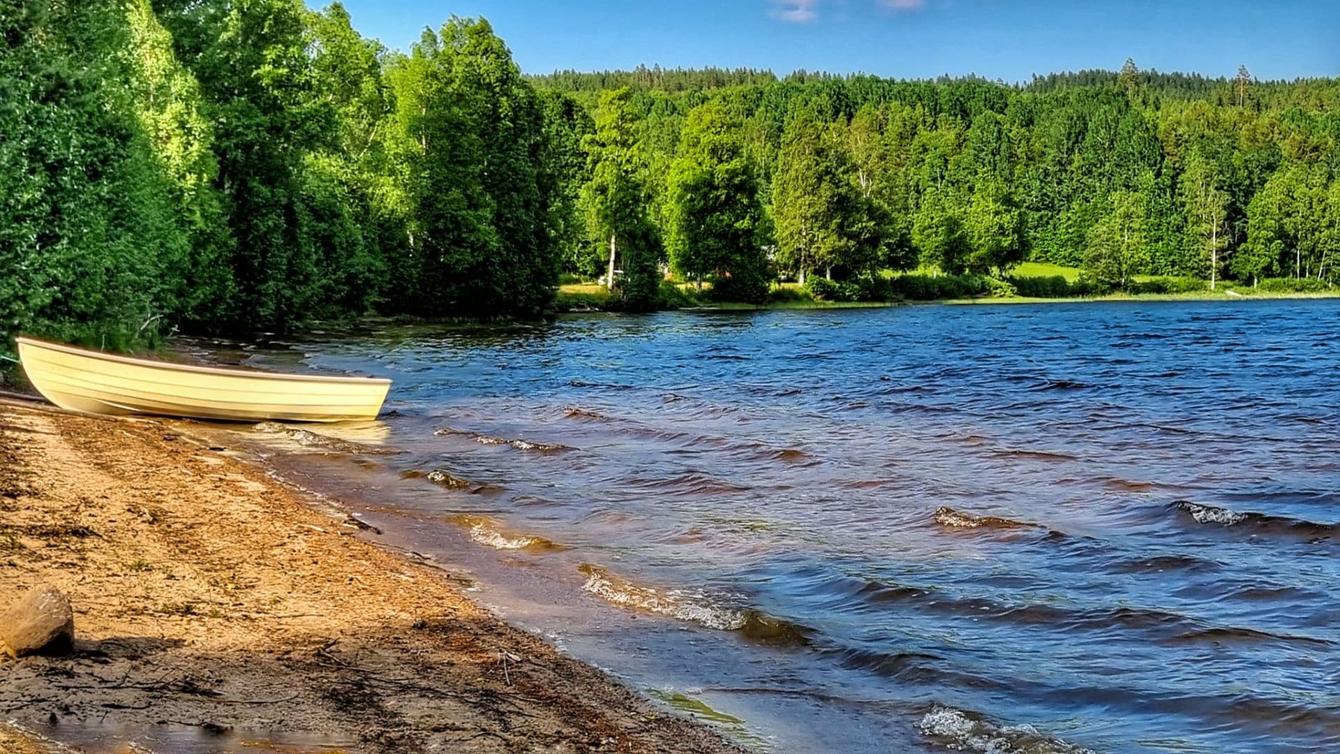 Borrsjön, Gräsmark
